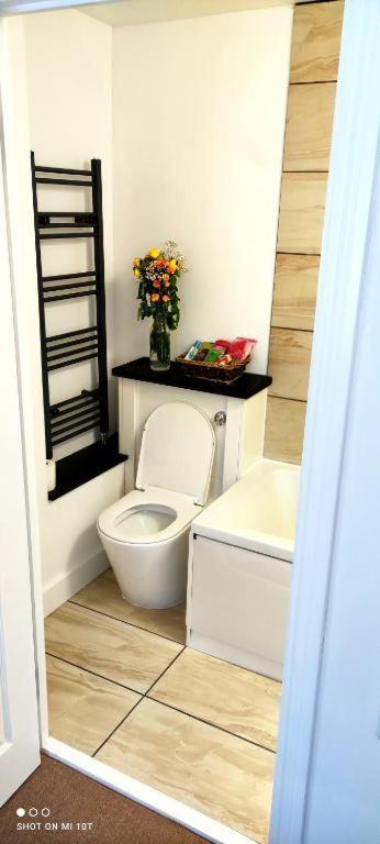 Surrey Quays Residency - Serviced Rooms ロンドン エクステリア 写真